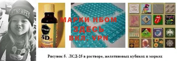 гидра Иннополис
