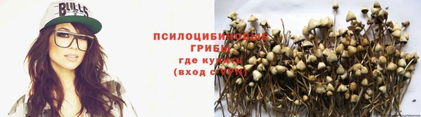 гидра Иннополис